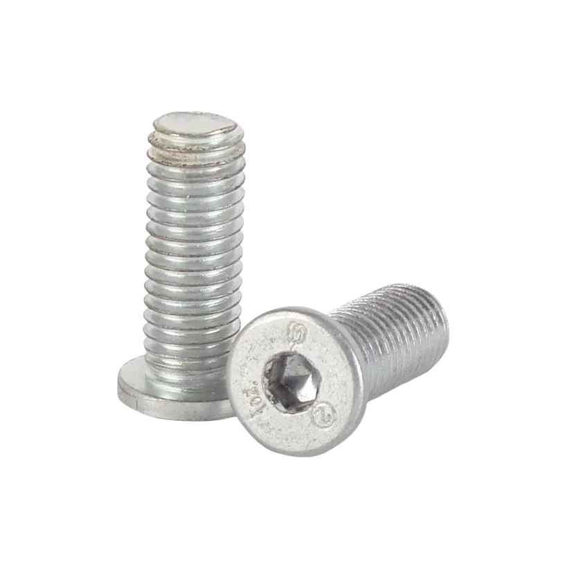 Two 1 oz Cue Weight Bolts With Hex Socket Heads